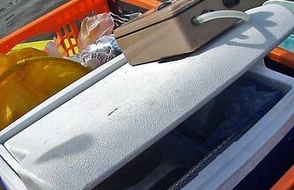 Snowbee coolbox/livebait tank