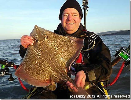 Bristol channel ray from the kayak