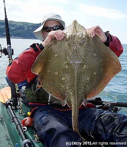 One of Dave's blonde rays