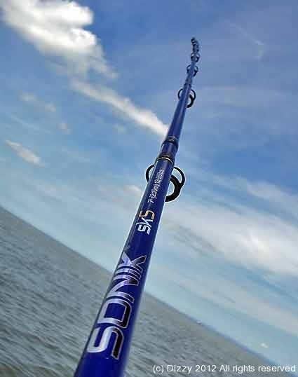 Review of Rovex Integra Gold fishing rod
