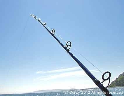 Review of Rovex Integra Gold fishing rod