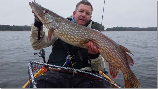 20lb of lure caught pike - 108cms